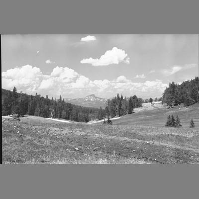 A High Mountain Peak Viewed From a Mountain Meadow, 1956