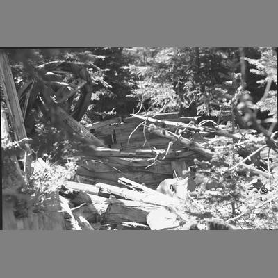 Wooden Wheel with Connecting Structure Made of Hewn and Peeled Logs, September 9, 1956