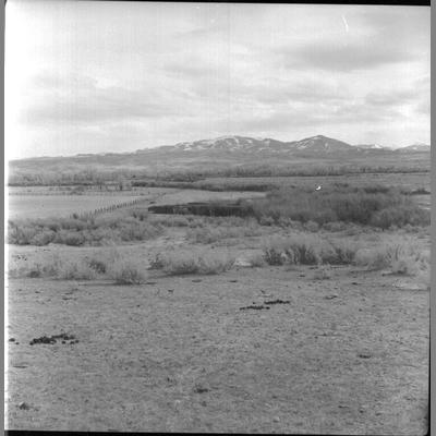 Open Field Belonging to Tabor Ranch, March 20, 1956
