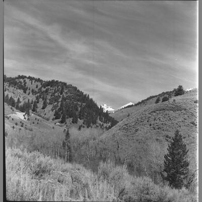 Looking up Wisconsin Creek toward the Fairview Mine, Madison County, 1959
