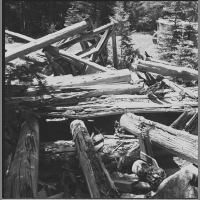 Hewn and Peeled Logs Near the Noble Gulch, July 5, 1959