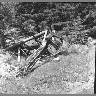 Wood Sits Near the Edge of a Forest, July 5, 1959