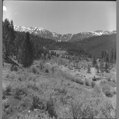 Landscape Photograph of the Alder Gulch in the Springtime, June 21, 1959