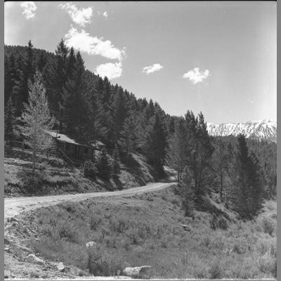 Gravel Road Leading to Log Cabin Near the Alder Gulch, June 21, 1959