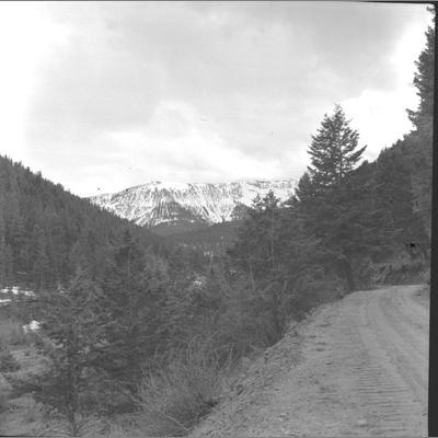 Snow Capped Ruby Mountains Near Alder Gulch, June 21, 1959