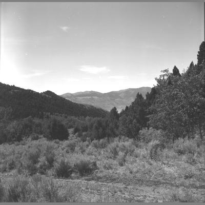 Beaver Dam Browns Gulch - Small Mountain Clearing with Pine Forests on Flanking Slopes, August 1959