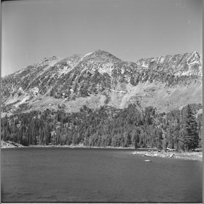 Pine Tree Lined Lakeshore of Brandon Lakes, Mill Creek, August 1959