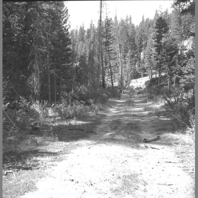 Road Leading into Hell
