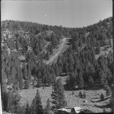 Tree Covered Mountainside with Large Washed-Out Trace Descending in Nobelville, Wisconsin Creek, October 1960