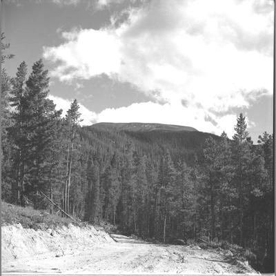Table Top Mountains Visible on Horizon Above the Trees, August 4, 1962