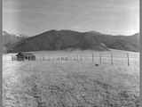 Cabin in Large Field With Tobacco Root Mountains in Background November 4, 1962