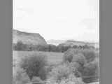 View of Grassy Meadow Seen Beyond a Fenceline in the Foreground