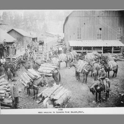 View of Corral Yard with Pack Mules Ready for Wood Hauling to the Elkhorn Mine, Boulder, Mont., 1890
