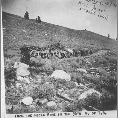 Two heavily-laden freight wagons pulled by at least ten horses along a dirt road.