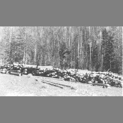 Lumber in a Mountain Clearing