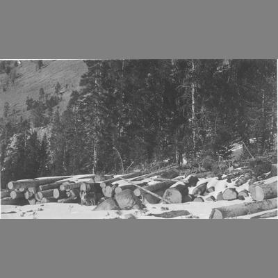 Logs in a Snow Covered Mountain Clearing