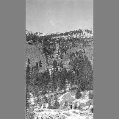 Two Log Bolstered Mine Openings in Snow Patched Mountain Clearing