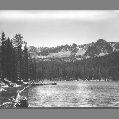 View of Birch Creek with tree-lined shore.