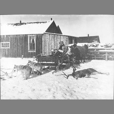 Man Seated in horse-drawn Sled in Front of Wood Frame Structure With a Dead Deer Near in the Snow