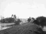 Man driving horse cart on dirt road by standing water.