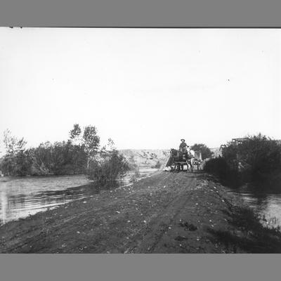 Man driving horse cart on dirt road by standing water.