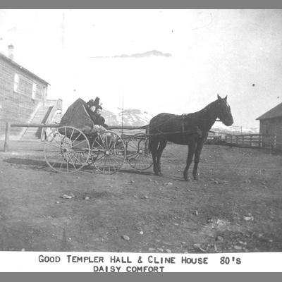 Daisy Comfort at Templars Hall - two women in horse-drawn carriage.
