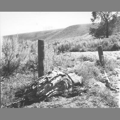 Large Rotten Log in Front of Two Old Fenceposts