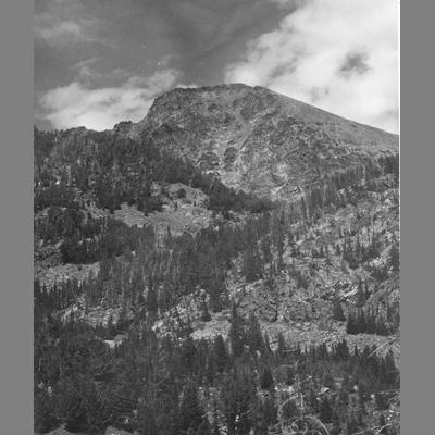 Forested Slopes on the Rocky Mountains