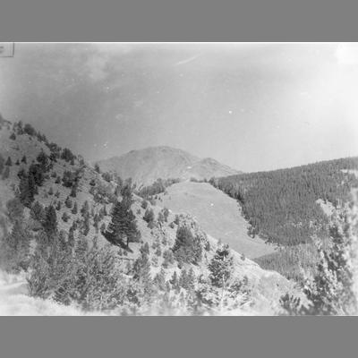 Rocky Mountain Peak with Forested Slopes