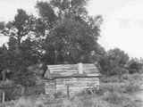 Abandoned Log Cabin in Sagebrush with Trees in the Background