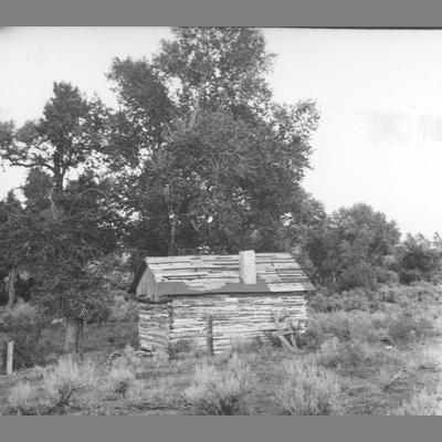 Abandoned Log Cabin in Sagebrush with Trees in the Background