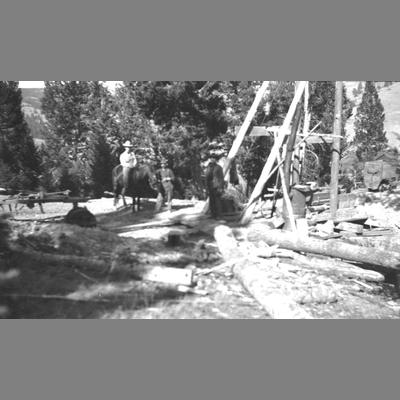 Men Observe the Lumber Surrounding Them