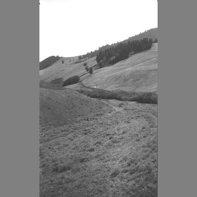 Image of a Trail Running Through a Valley