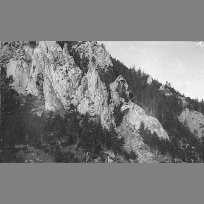Image of a cliff with trees.
