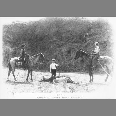 Reid Boys - Amon, George, Alvin, Branding Cows circa 1900