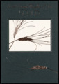 Greg Lilly