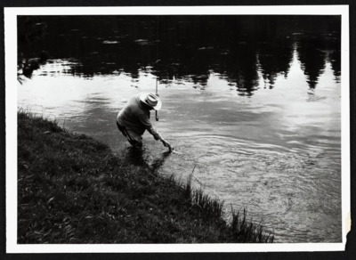 Individual fishing scenes, #293-316