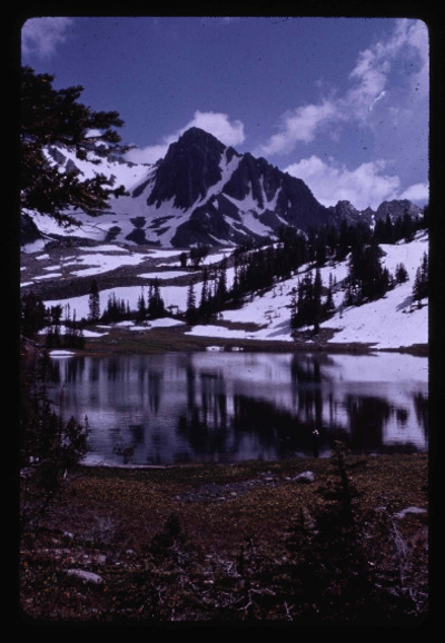 Scenery and wildlife, #687-786