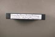 [Anglers All exhibit Museum of the Rockies, Bud Lilly] Montana Fish Wildlife and Parks, Mike Gurnett reporting