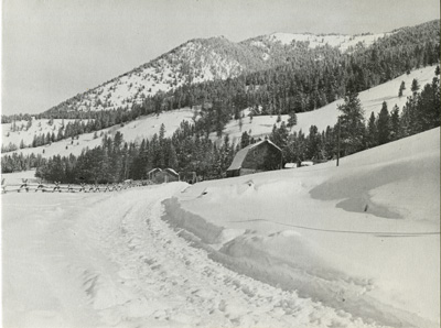 Christmas morning dawns bright and clear, Christmas Card from 320 Ranch