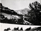 The pussy-toes are covered now, Christmas Card from the 320 Ranch