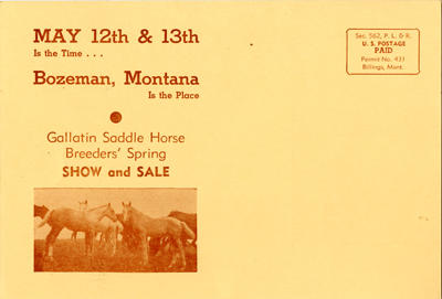 The Gallatin Saddle Horse Breeder