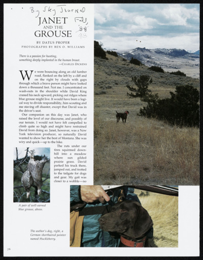 Blue Grouse