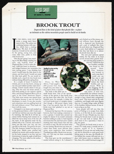 Brook Trout