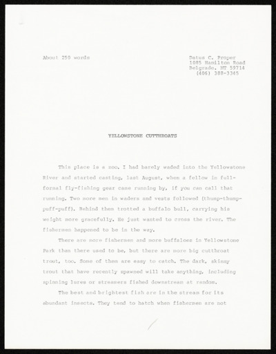 Yellowstone Cutthroats