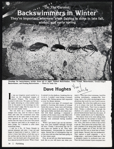 Flies-Natural and Artificial and Other Trout Foods: Damselflies, Dragonflies