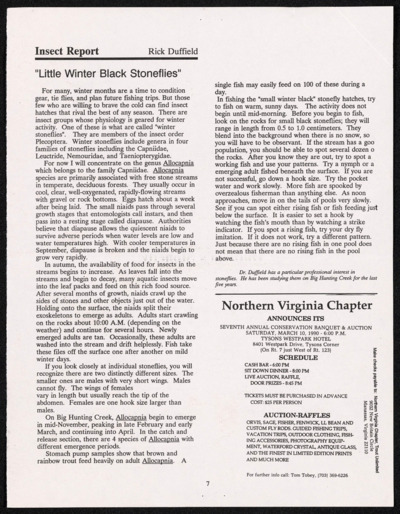 Flies-Natural and Artificial and Other Trout Foods: Stoneflies