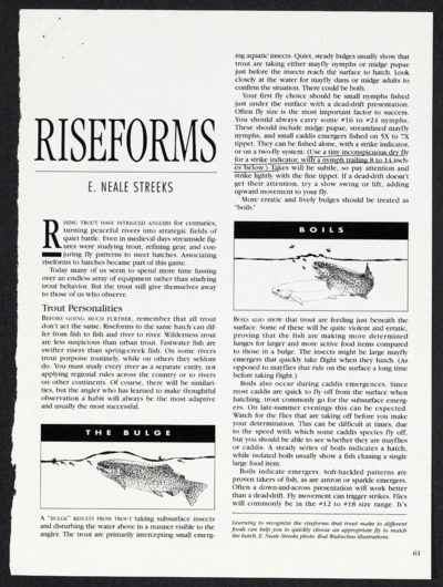 Trout and Other Salmonids: Rise Forms