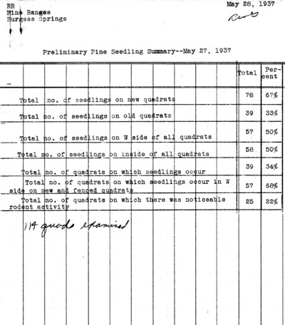 Preliminary pine seedlings summary