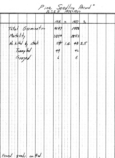 pine seedlings records